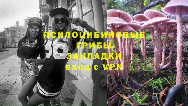 apvp Армянск