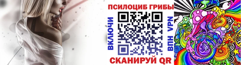 ссылка на мегу зеркало  Салаир  Галлюциногенные грибы Psilocybe 